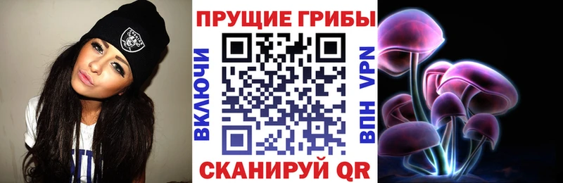 Галлюциногенные грибы Cubensis  закладка  Старая Русса 